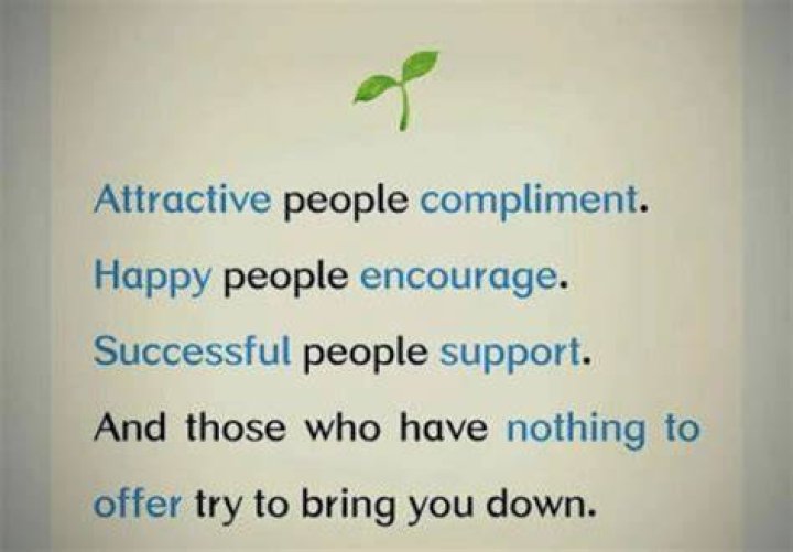 Are Attractive People always successful?