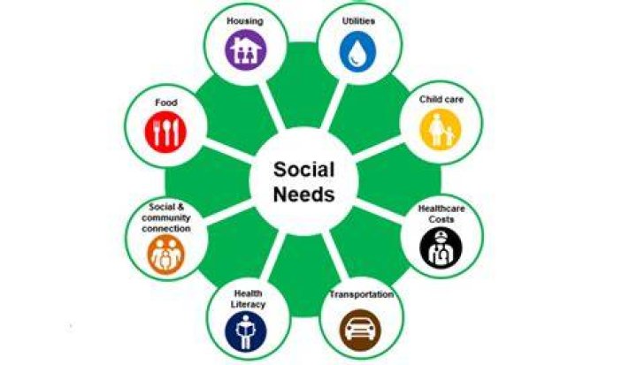 What are the 3 basic social needs?