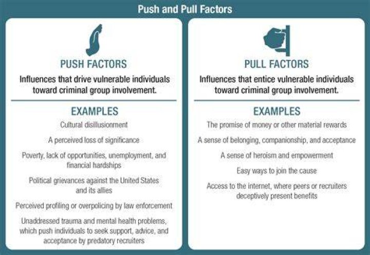 What are the pull factors of Florida?