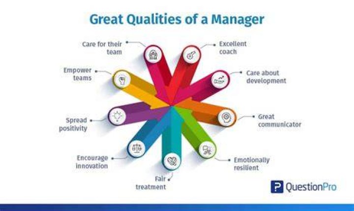 What do you need from your manager to be more effective?