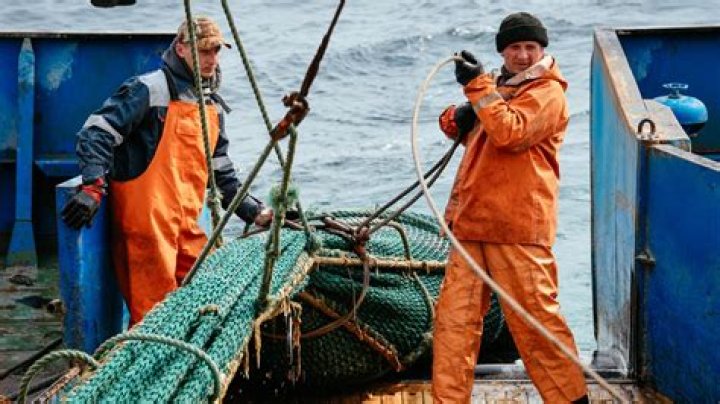 What is a fishing job called?