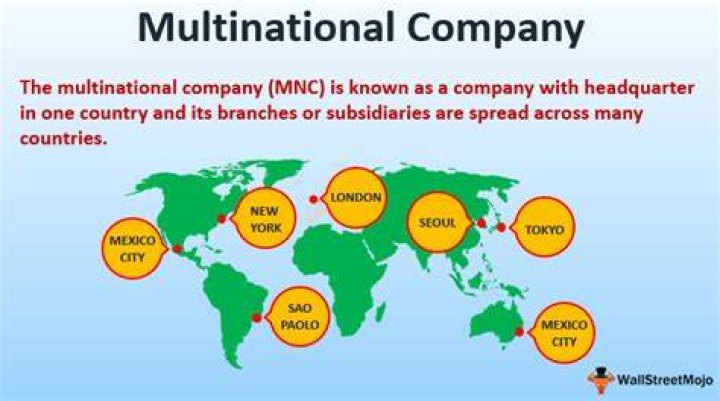 What is an example of a multinational company?