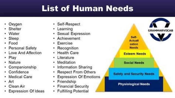 What is meant by the term human needs?