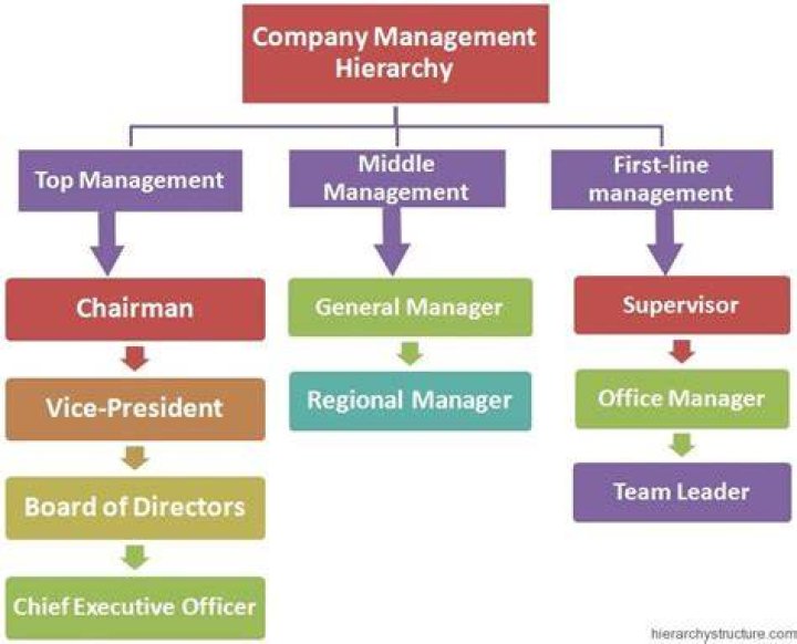 What is the position above a manager?