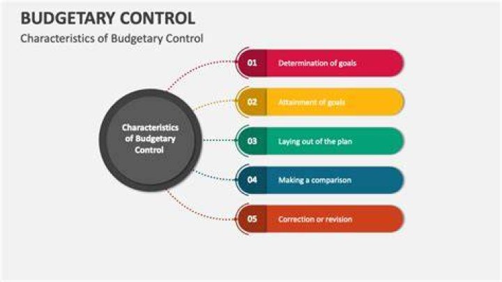 Why is budgetary control important in business?
